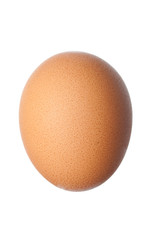 close up of egg isolated on white background