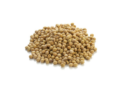 asian soy on white background