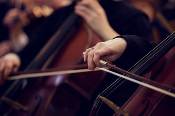 Hand of a woman playing the cello