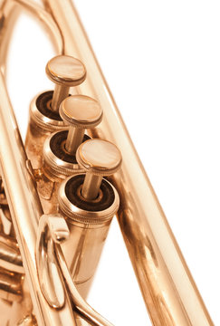 Detail of trumpet closeup in golden tones on a white background