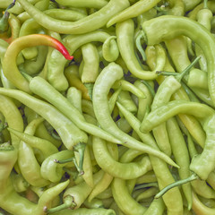 stand out from the crowd, be unique