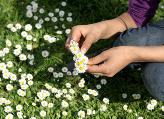 Teenagers Hands with white spring flowers