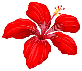 A red hibiscus plant - obrazy, fototapety, plakaty