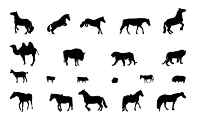 Silhouette of Wild and Domestic Animals. Black