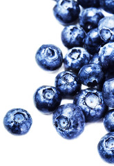 Blueberries isolated on white background with copy space for tex