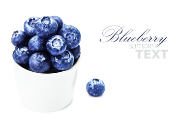 Fresh Blueberries in a bowl  isolated on white background close