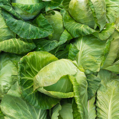 Fototapeta na wymiar Fresh cabbage in the vegetable market