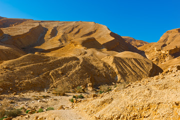 Riverbed
