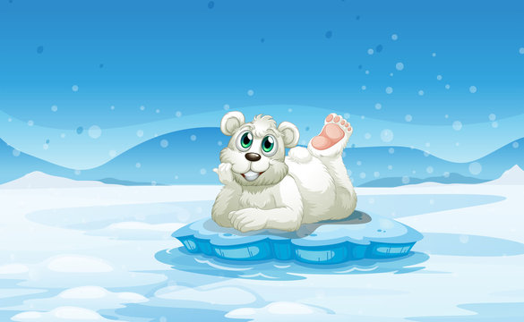 A polar bear above the iceberg