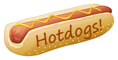 A yummy hotdog
