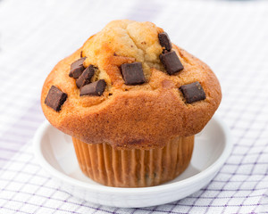 Fresh chocolate chip muffin
