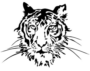 Tiger face. Vector