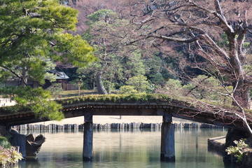 Fototapeta premium view of japanese garden in spring season