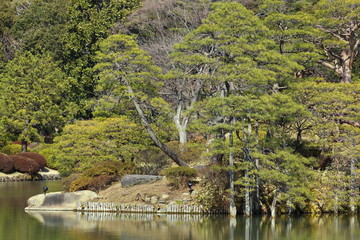 Obraz premium view of japanese garden in spring season