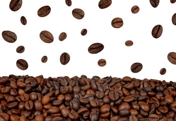 Coffee beans on white background
