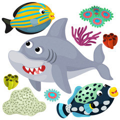 Sea elements and animals