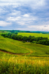 Fototapeta premium grass field and dramatic sky