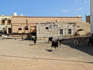 Sur (Ṣūr,Sour) Ash Sharqiyah Oman Sultanat Moyen Orient