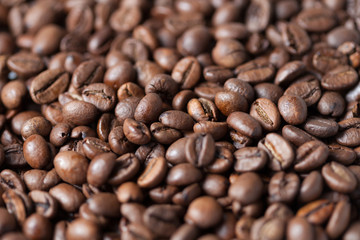 Roasted Coffee Beans Shallow Focus