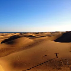 Foto op Plexiglas dunes © nito