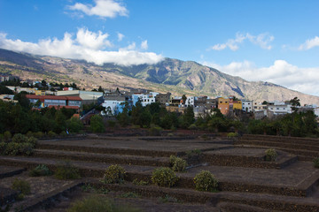 Pyramiden von Güimar - Teneriffa 7