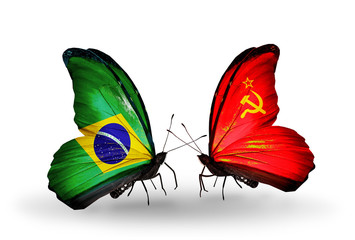 Fototapeta na wymiar Two butterflies with flags Brazil and Soviet Union