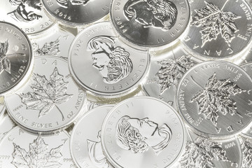Fototapety  Canadian Silver Maple Leaf Coins