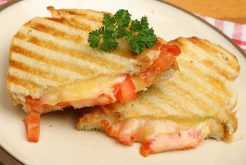 Toasted Sandwich with Cheese and Tomato