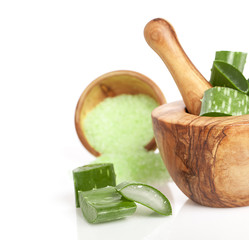 aloe vera fresh leaf