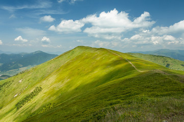 Obraz premium Summer mountains green grass and blue sky landscape.