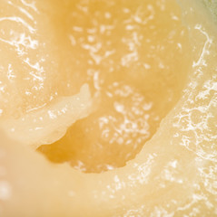 Obraz premium background of honey. macro