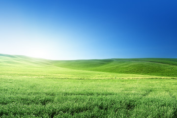 hills in sunny day Tuscany, Italy