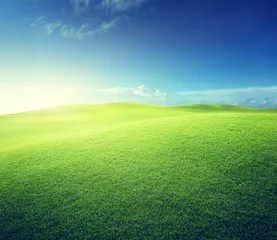  green field and blue sky © Iakov Kalinin