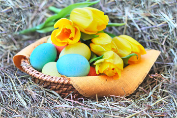 Basket of easter eggs and tulips on hay