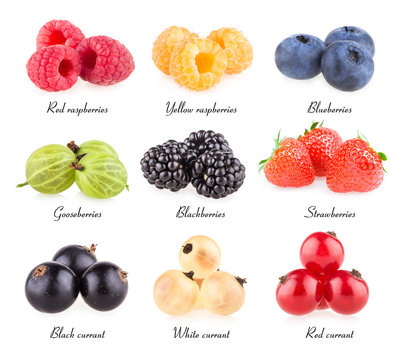 collection of 9 berry images