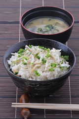 氷魚のご飯