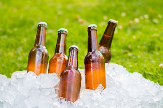 Cold Beer On Crushed Ice Cubes Outside