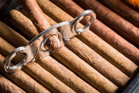 Guillotine and cigar on cigars background