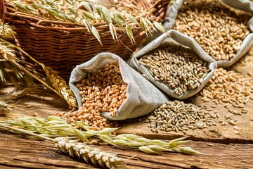 Tuinposter Different types of cereal grains with ears © shaiith