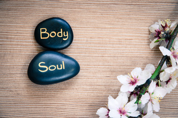 spring flower and lava stone