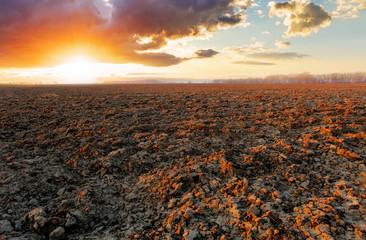 Plowed field at sunset