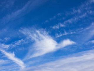 cloudscape flying bird (4)
