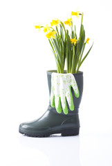 daffodil flowers and garden equipment