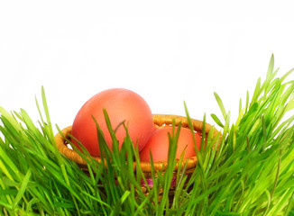 Basket with eggs in a grass