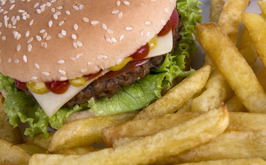 Beef hamburguerwith french fries