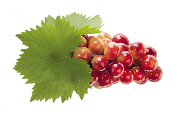 Ripe grapes with leaf