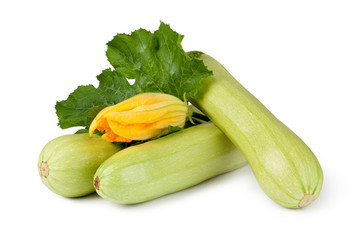 fresh vegetable zucchini