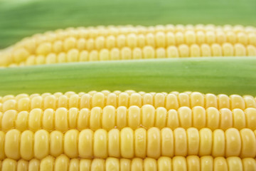 Corn