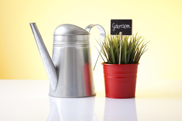 watering can and flower pot