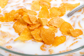 Crispy corn flakes with milk  close-up